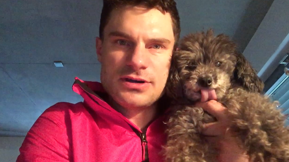 flula's tweet photo. Do you feel Sick as the Dogs? Oh wow, this is some Exzellent News!! BOOM: http://t.co/dlmLMxcJha #Fluesday http://t.co/tfpvYcc8NM