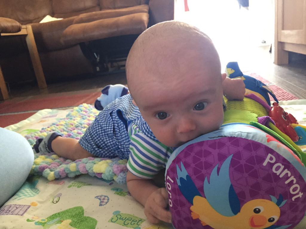 HummingbirdCom1's tweet photo. That's our Director @SuzanneMackie back from her baby holiday! Baby James is set to enjoy some time with Grandma. http://t.co/WnmYTOb3HJ