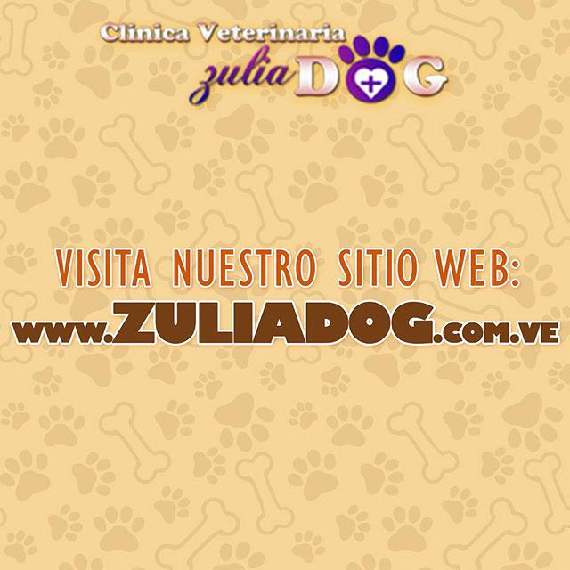 ZuliaDog's tweet image. Descubre que somos la mejor opción para ti y tu mascota.

Visita: ZULIADOG.COM.VE