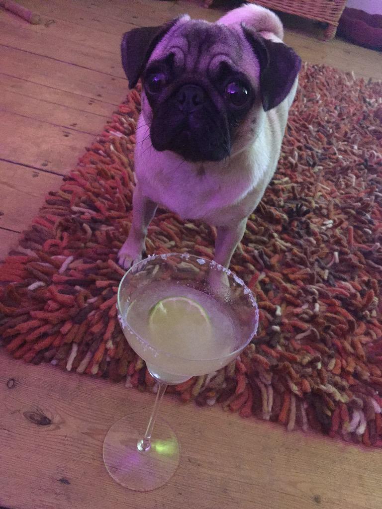 Happy Birthday with love from me and the other Lisa Vanderpump! Here\s a margarita for you! 