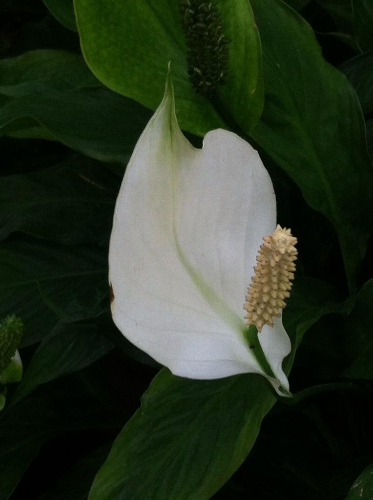 kittychest's tweet photo. Check out http://t.co/dlA0waefyh http://t.co/RQ3R8T0ZgH