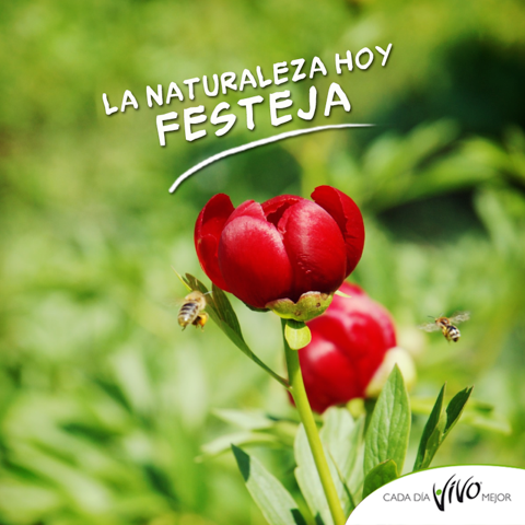 Ya se viene la primavera, disfruta de todos sus detalles <3
¿Cómo estás alimentando tu vida?
#CadaDíaVivoMejor
