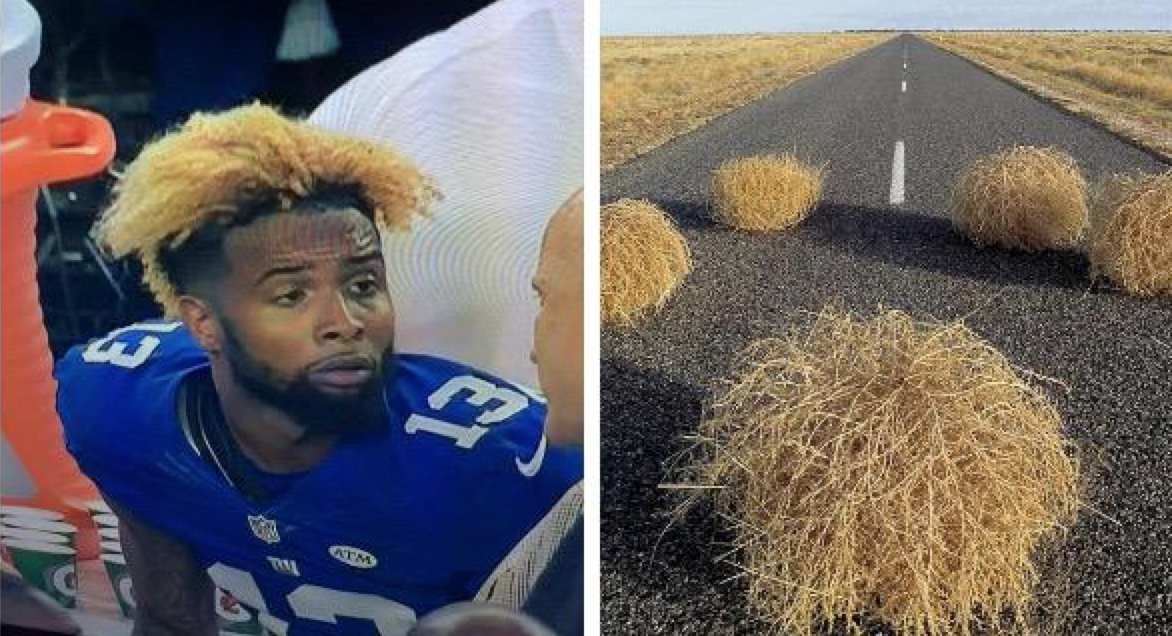 CO02fOAWcAAU93z.png:large