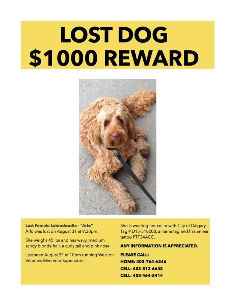 NaturallyPawsom's tweet photo. @BlakeRichardsMP please RT. missing dog in #Airdrie. Possible sighting 2nights ago. Very missed #Arlo#Reward http://t.co/yIN71j734l