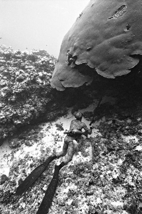 DeepSpearFishin's tweet photo. spearfishing float board http://t.co/mzQXaF9nYV