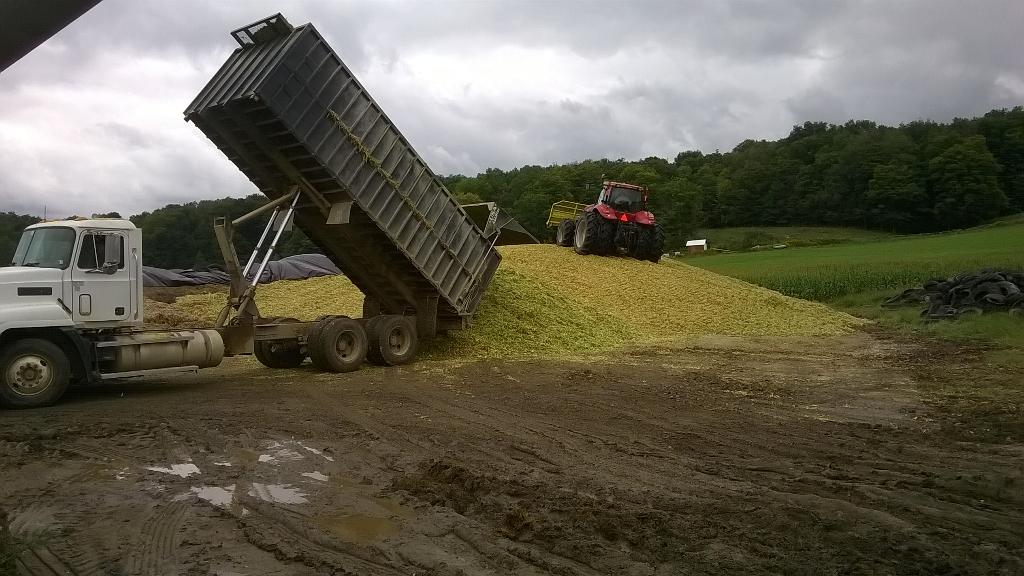 byski182's tweet photo. Gettin R Done @KLB_7 #harvest15 #silage15 Runnin out of asphalt. #customharvest http://t.co/drN8d0Vf25