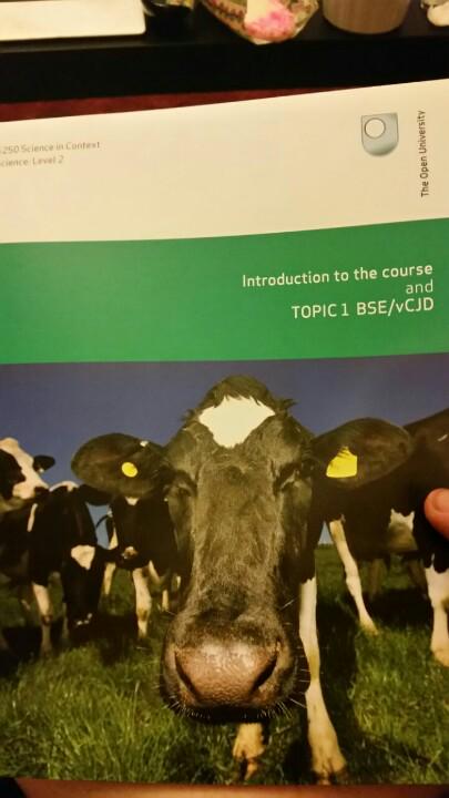 badderssjb's tweet image. Tomorrow's reading #S250 #OU