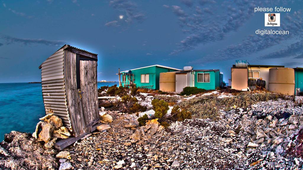 digital ocean tweet media