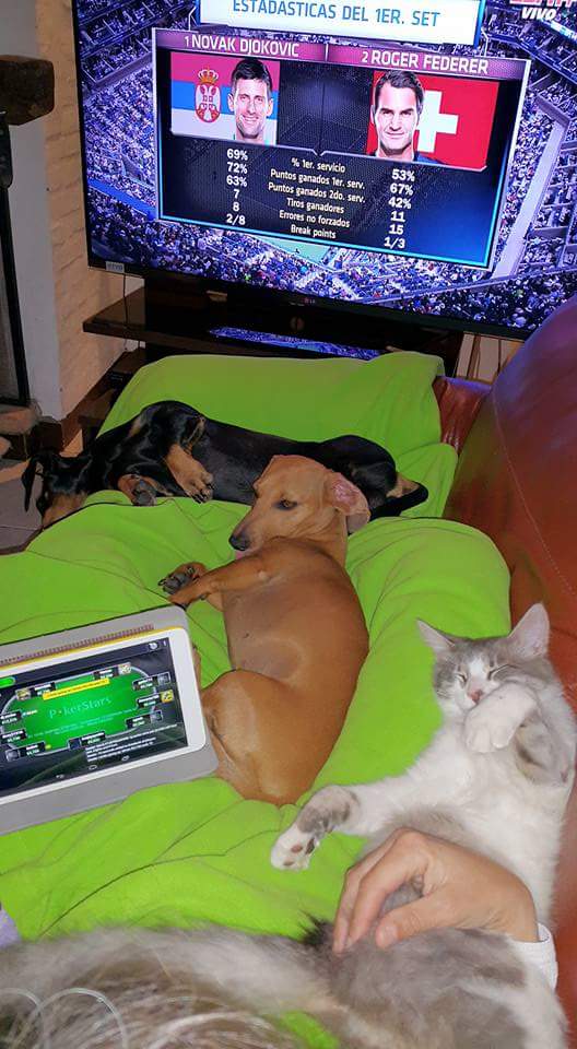 Veroca Falco tweet media