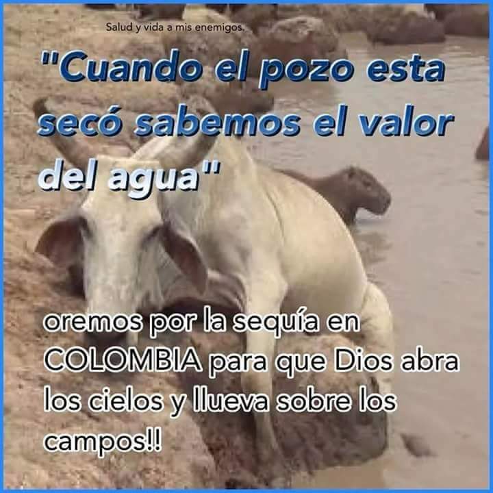 Alix Mayerly Cañon (@alixmayerly) on Twitter photo 