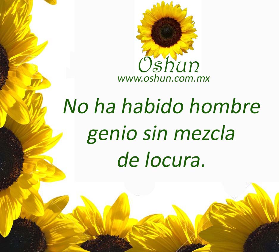Oshun_tips's tweet photo. #Oshun_tips Tenemos una oportunidad más de vida. ¡Feliz lunes! https://t.co/Q0vwTUSI7R