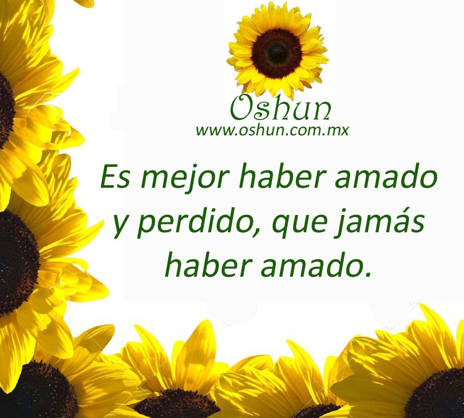 Oshun_tips's tweet photo. #Oshun_tips Tenemos una oportunidad más de vida. ¡Feliz lunes! https://t.co/BsDQUue5um