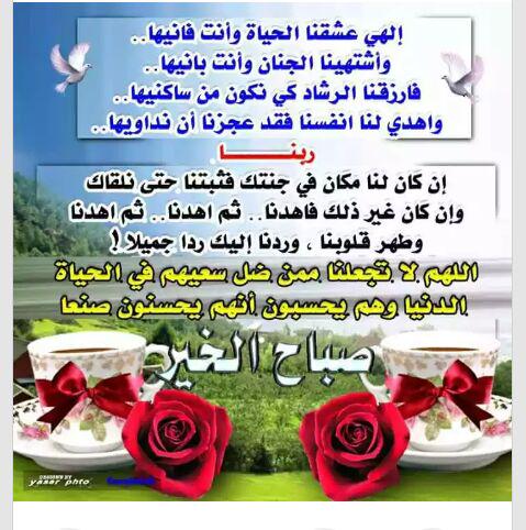 QM0325's tweet photo. صباح الخير http://t.co/Z6k51E87yG