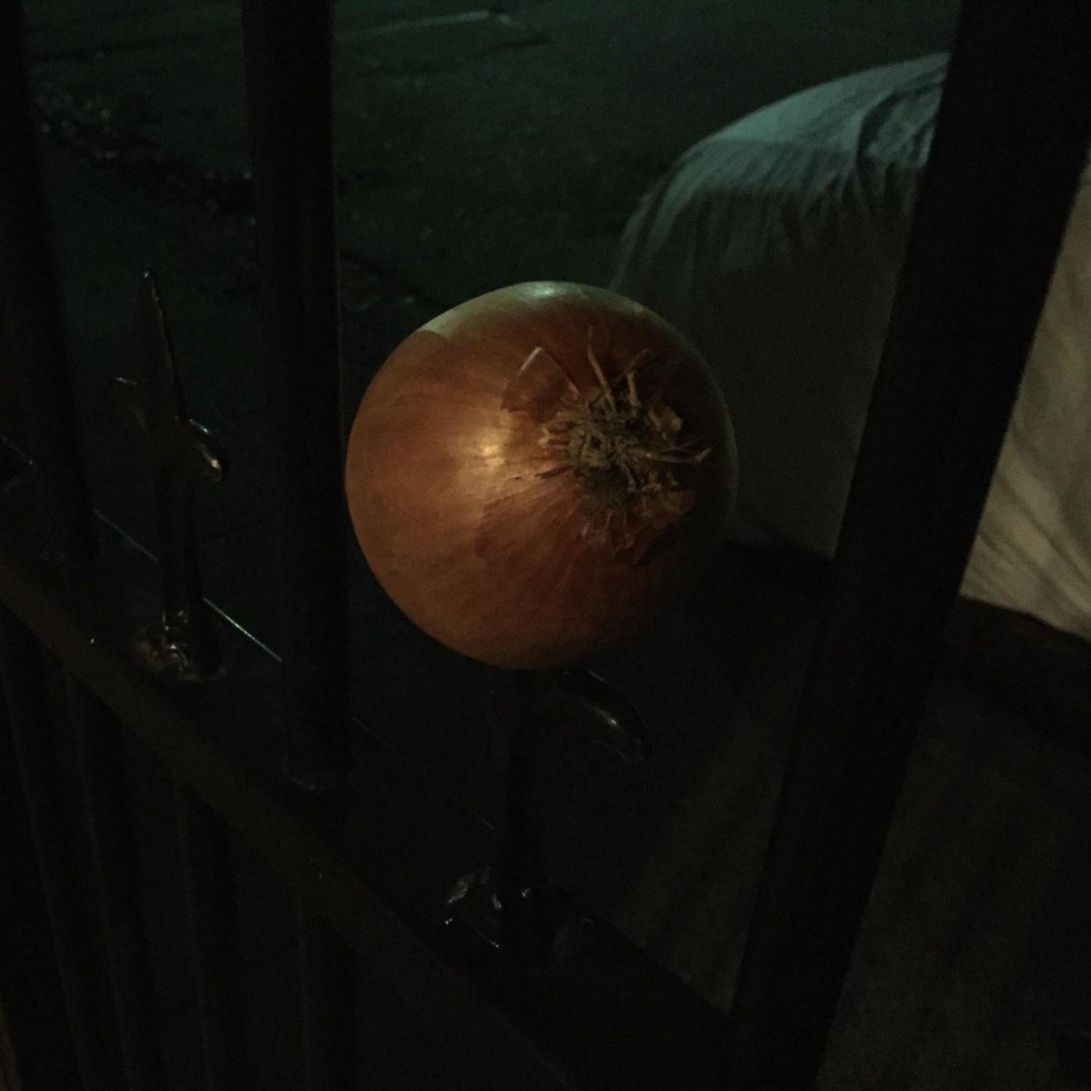 It is a little rotten, but I am sure it is still sweet #putoutyouronions #libspill