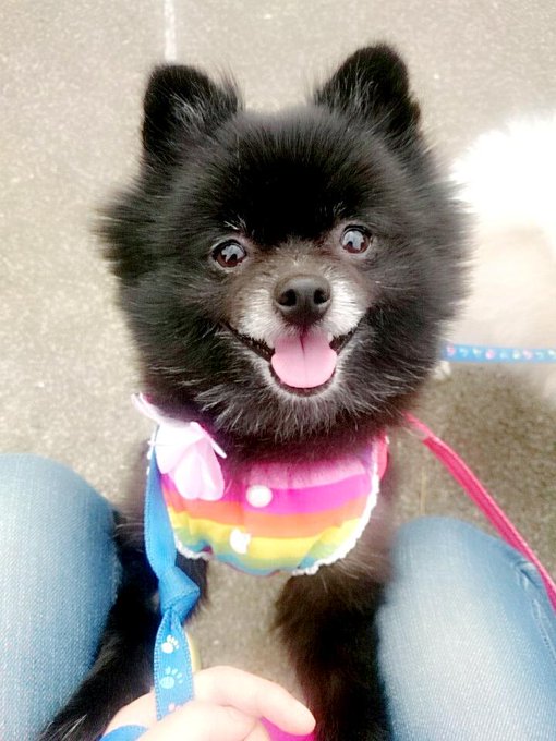 のんびり公園でお散歩(♡˙︶˙♡) http://t.co/pKbdL12xdg