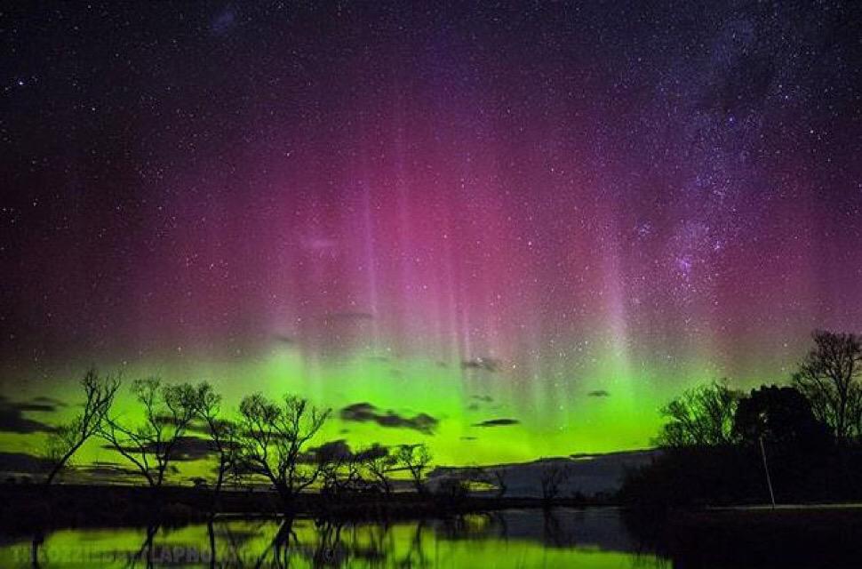 The brilliant beams of the Aurora Australis dancing above the horizon of Evandale (Pic theozziebattlaphotographer/IG)