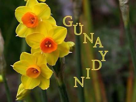 KadriLutfiy's tweet photo. @Emine2618 @DoanKasif @mdogan99 @sosyetehaci2 @19721453Sultan @gncnrllh @RecepTlbs4 @KaifDoan @elia_35 @bayramaygun2 http://t.co/WjC0QFVsD9
