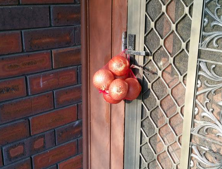 buzzfeedoznews's tweet photo. Australians Are Putting Out Their Onions For Prime Minister Tony Abbott http://t.co/Wpoh0FJoFV #putoutyouronions http://t.co/zUnNp3aCLV