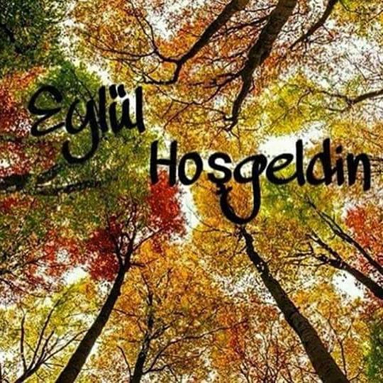 Hoş geldin