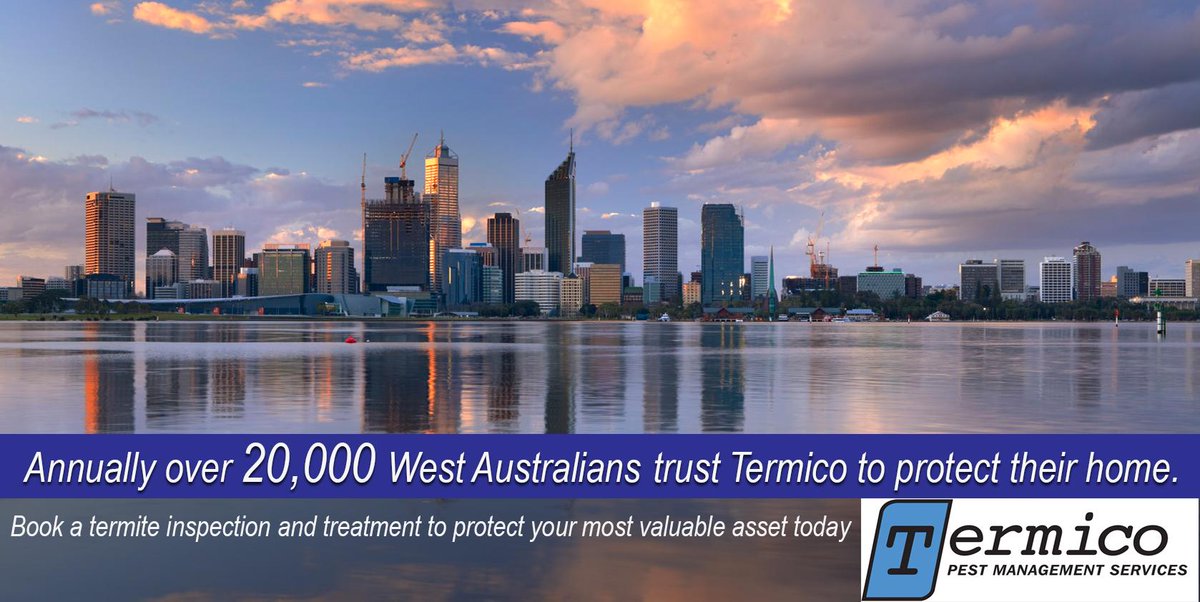 termitesPerth's tweet image. 20,000+ West Aussies annually. Book a termite inspection for your most valuable asset #spring #Perth #termites #WA