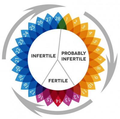 Espaibebe's tweet image. Días fértiles. Todo sobre los mejores días para quedarse embarazada
espaibebe.com/es/blog-embara…