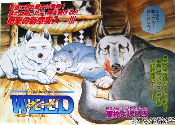 鈴 ヾ ᆺ ノ゙スランプ治った トレンドに紀州犬入ってる もしや 赤目 さんの話題か って思ったら全然違った W 十三発って流石紀州犬ね Http T Co Hzp9dhtdbm 鈴 ヾ ᆺ ノ゙スランプ治った トレンドに紀州犬入ってる もしや 赤目 さんの話題か って思ったら全然違った W 十三発って流石紀州犬ね Http T Co Hzp9dhtdbm