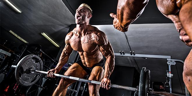 Muscle Evolution® tweet media