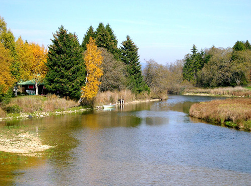 Cet #automne, découvrir de quel bois sont faits les violons avec un luthier: bit.ly/1iIEQUP @regionduleman