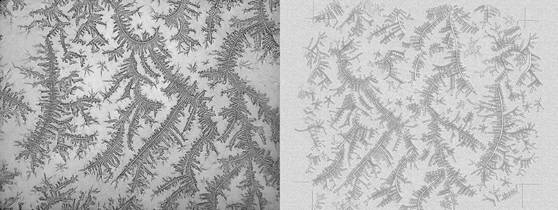 PremiereVision's tweet photo. Discover the #lace &amp; tears #collection by #RoseLynnFischer x @darquerlace at #premierevision http://t.co/wvkLYjpStg http://t.co/8YpIR9XLNE