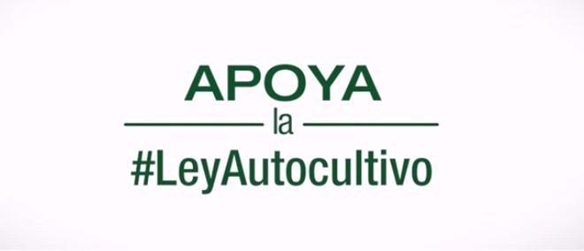 JJCC_Stgo's tweet photo. Campaña en apoyo a la #LeyAutoCultivo http://t.co/dtujxmFNHX http://t.co/L42MxY4SCc