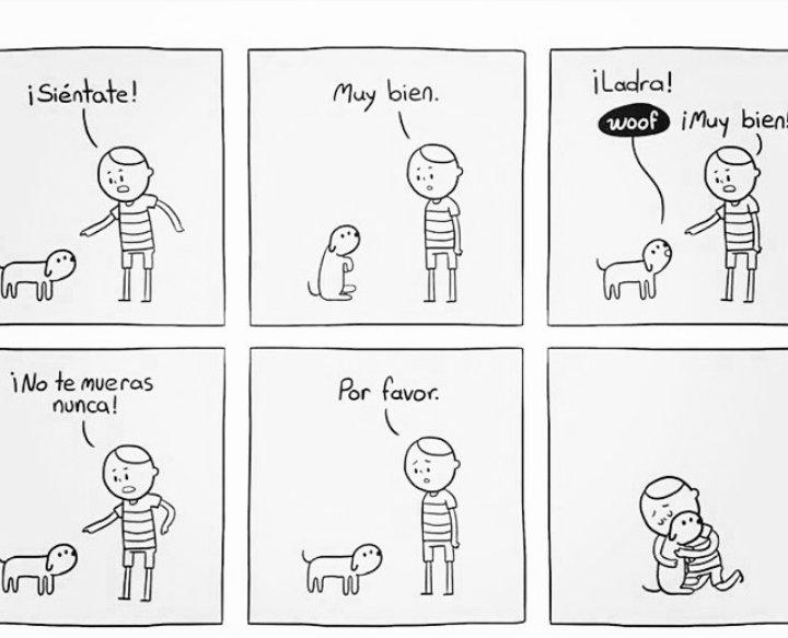 bea868's tweet photo. Dogs lovers http://t.co/7ulBflzWLU