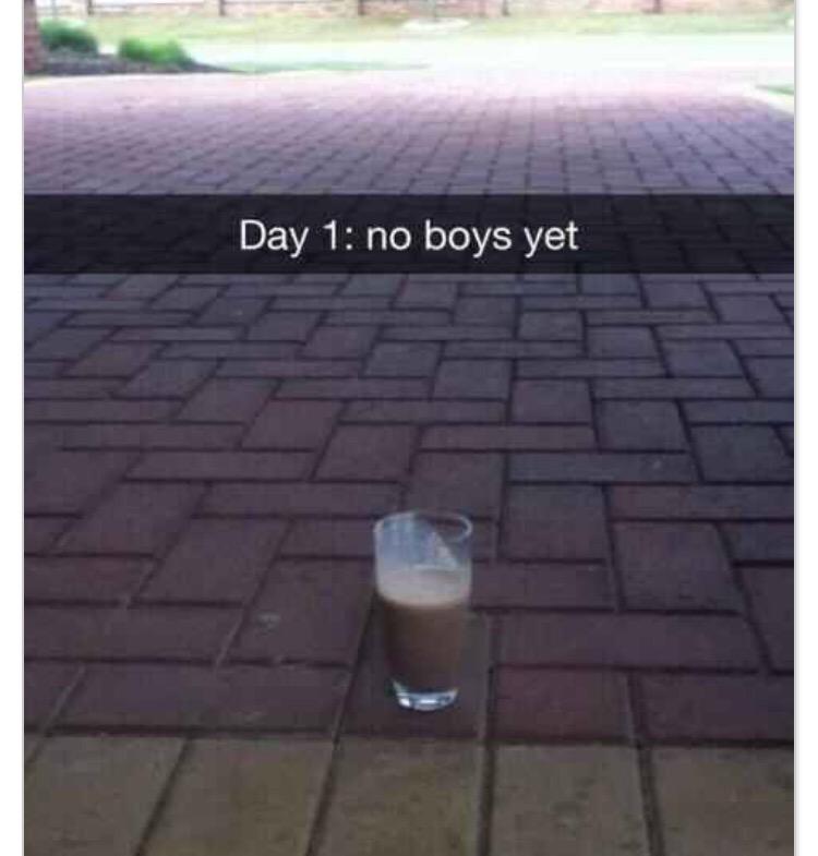 RP_Delacroix's tweet photo. After milking sweet Bessie, I take a glass &amp; curse; frothy liquid spills everywhere when I shake it. Now I just wait? http://t.co/hwEr0xy4Aq