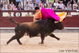 PEĂA TAURINA SONSECA (@ptaurinasonseca) on Twitter photo @andresrocarey
Guardamos un buen recuerdo de la novillada que echo en @LasVentas_ nuestro amigo <a href="/Condemayalde/">Conde de Mayalde</a>
#Ole @andresrocarey
Guardamos un buen recuerdo de la novillada que echo en @LasVentas_ nuestro amigo <a href="/Condemayalde/">Conde de Mayalde</a>
#Ole
