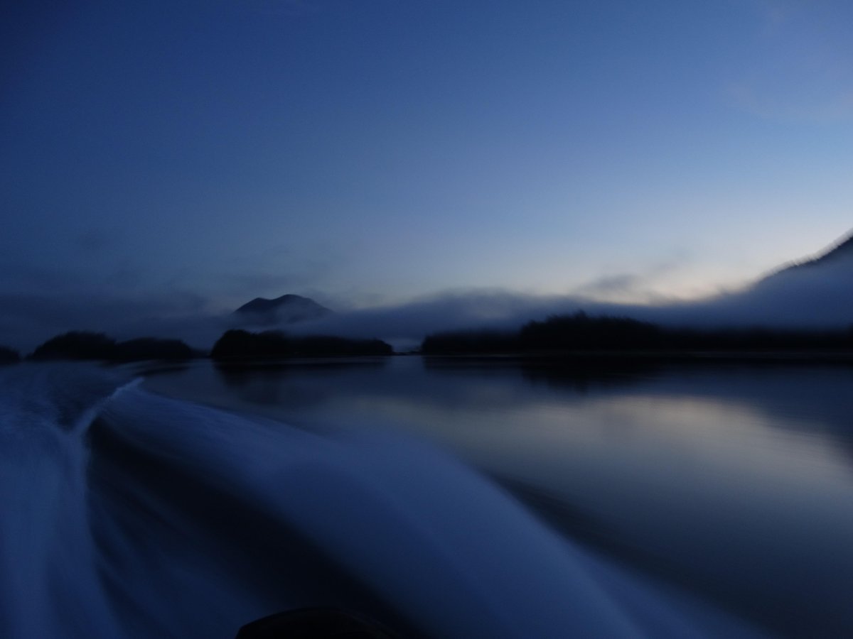 ExploreCanadaEU's tweet photo. Trowback time - Awesome Tofino at 5 am in the morning (august '15) - in search of Bears #explorecanada #explorebc http://t.co/yhzBZPWy2M