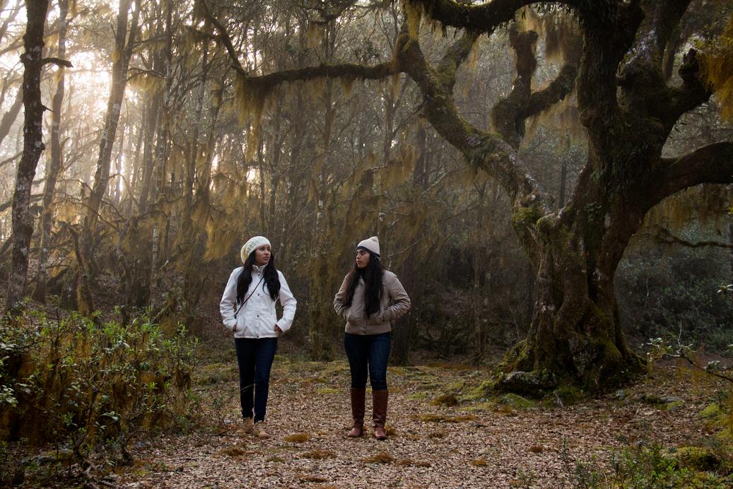 Ecoturixtlan tweet media