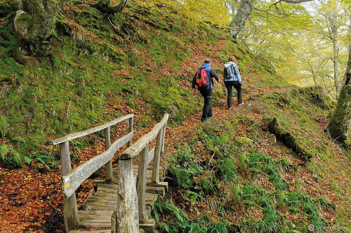 Enseguida la época más bonita del año... ¡Otoño en Asturias #ParaísoNatural! bit.ly/1VXwJSy