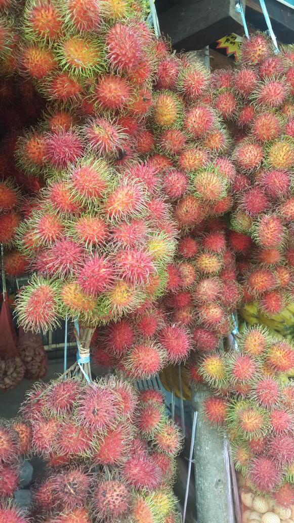 exotic_borneo's tweet photo. Name this hairy fruit. http://t.co/TcOgthSTkr