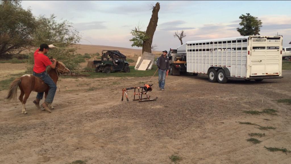 AnthonyHunting4's tweet photo. Making heal shots on ole rocky!!! #studpony #goodtimes #wolfpack http://t.co/K7iIaACKFO