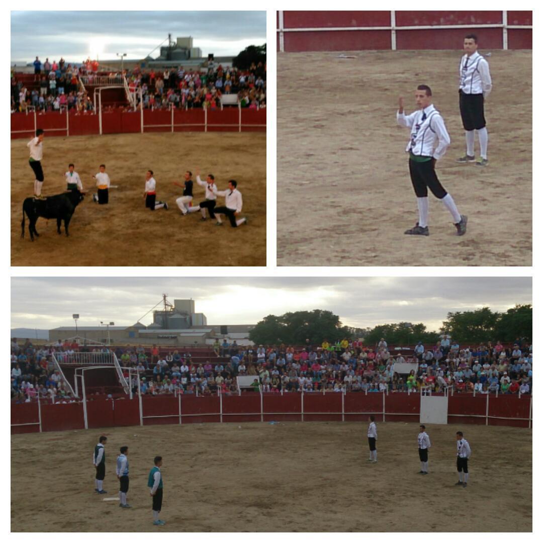 Impresionante espectaculo  el que ofrecierón ayer estos chicos!!Recortes,saltos,quiebros..<a href="/extremenoARTE/">ARTE EXTREMEñO</a> <a href="/DaniPlata2/">Plata</a>