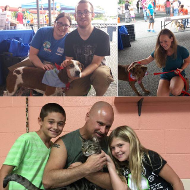 sthubertsanimal's tweet image. At Saturday&apos;s mega adoption event featuring #TheZephyr, we sent 4 dogs, 2 puppies and 11 kittens to new homes!