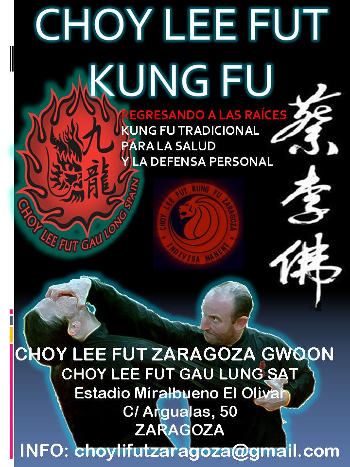 JaimeRNieto's tweet photo. ¡Empezamos una nueva temporada! Unete a nosotros para disfrutar del Choy Lee Fut Kung Fu. http://t.co/NcnzboTQcW