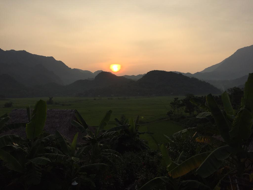 nguyen quang ky tweet media
