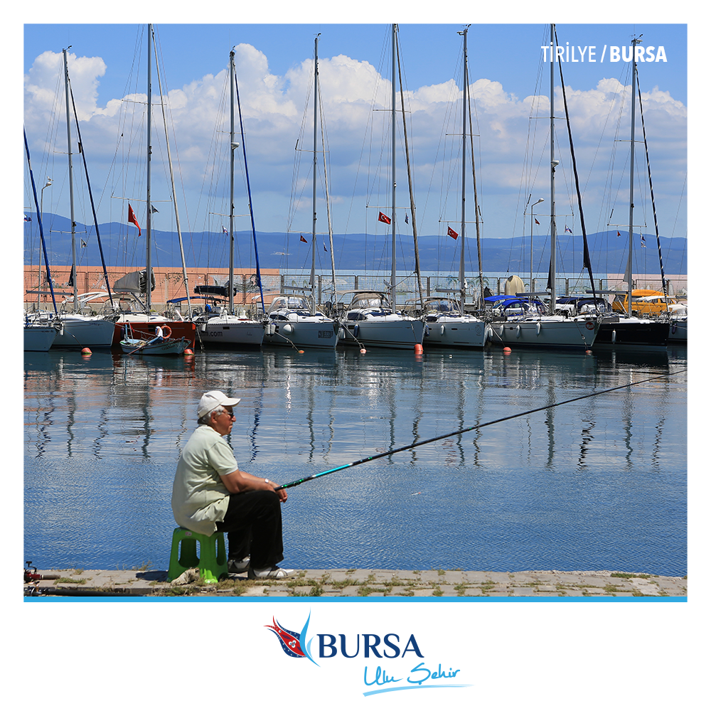 BursaUluSehir's tweet photo. Tirilye Limanı’nda bir balıkçı oltasını denize atmış kısmetini bekliyor. http://t.co/I78HYXbcc4