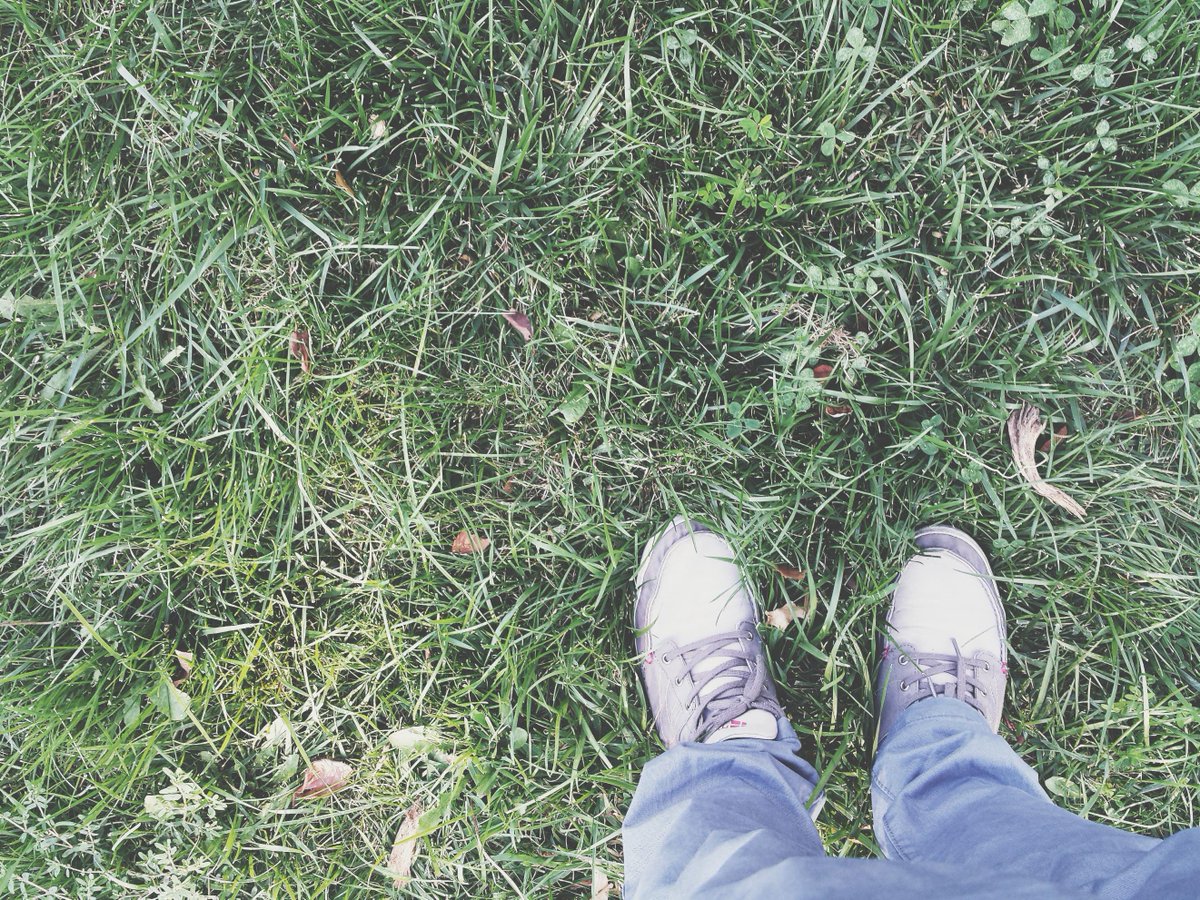 CapitalKombucha's tweet photo. Energized from the weekend. Time to kick ass! #drinkbetterlivewiser #capitalkombucha http://t.co/HZ9wS6Q5Vk