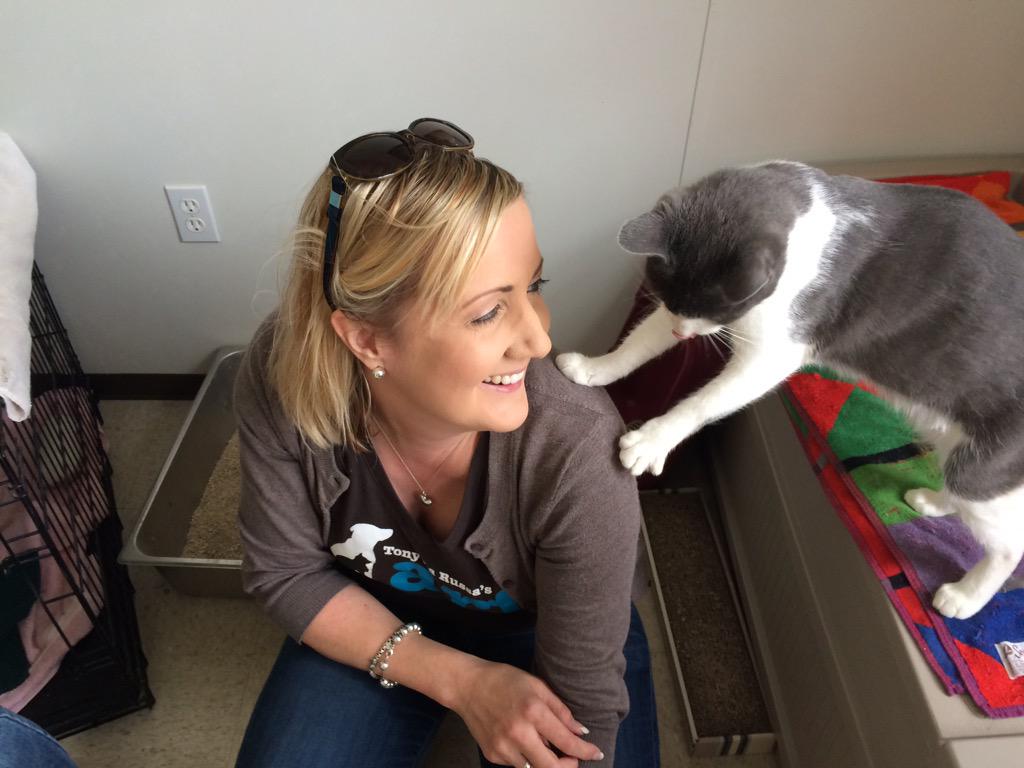 JoyboundTweets's tweet image. Evaluating shelter cats at #ButteFire to make room for holding evacuees