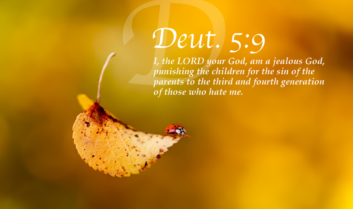 Trusting1God's tweet image. What is your favourite verse?
SHARE your #love to #God.