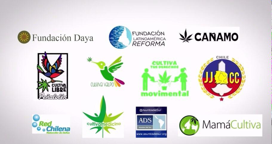 CultivaLibrePN's tweet photo. Junto a diversas organizaciones sociales y políticas apoyando la #LeyAutocultivo con video http://t.co/G991Cp81DO http://t.co/WbuVefbQJy