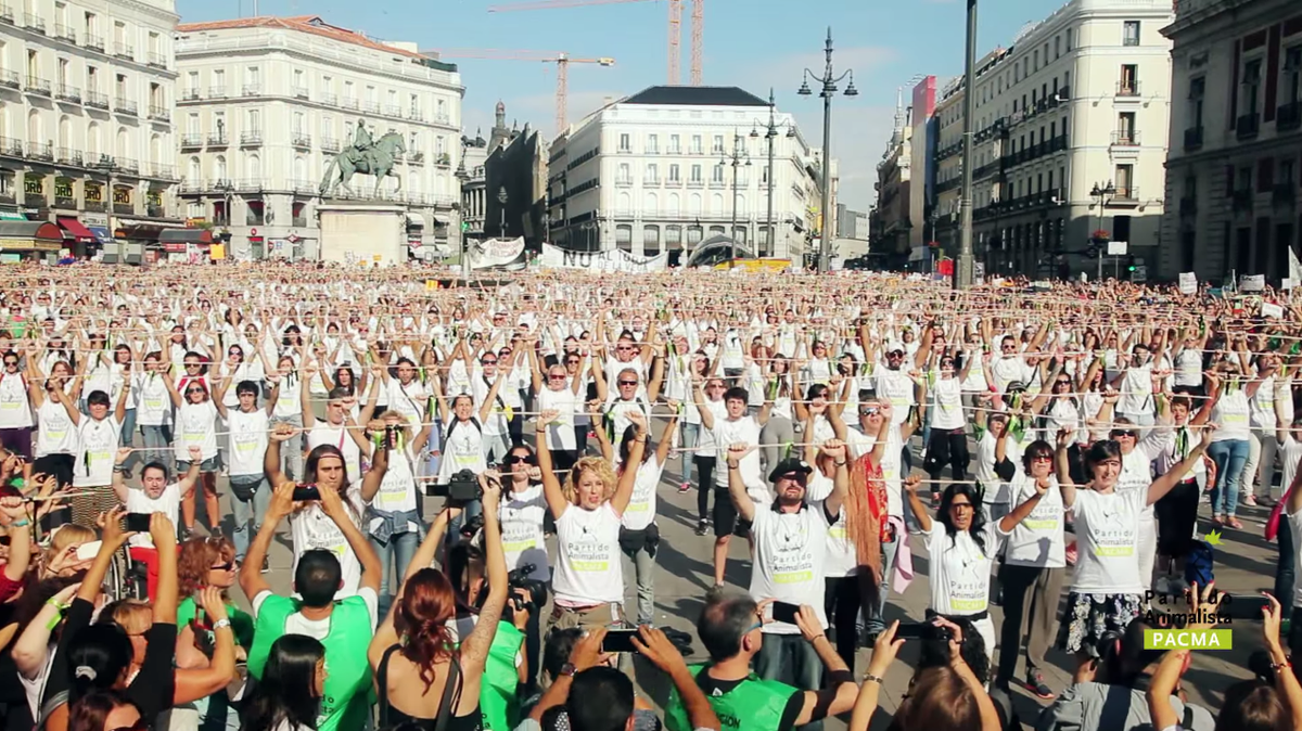 PartidoPACMA's tweet photo. ▶ Vídeo de la manifestación contra el #TorodelaVega Miles de voces contra el maltrato animal http://t.co/HyRsDHhqL7 http://t.co/I4e9Gh3hMa