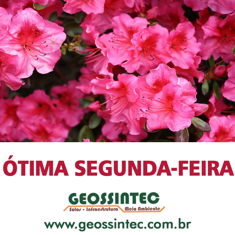 Geossintec's tweet photo. http://t.co/sG5IDJIiEY
Geomembrana
contato@geossintec.com.br
(51)3038.3068
#felicidade
#geossintec
#Geomembrana http://t.co/71htM3zZvP