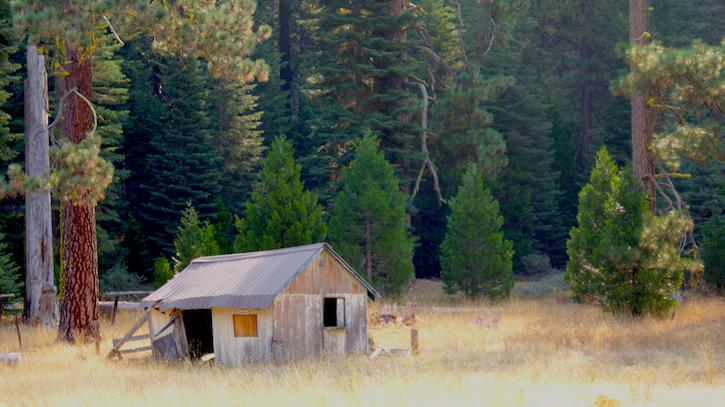 Dina Ciraulo tweet media